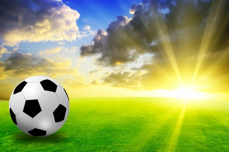 football field soccer stadium on the green grass blue skyの写真素材