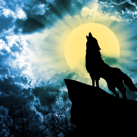 wolf in silhouette howling to the full moonの写真素材