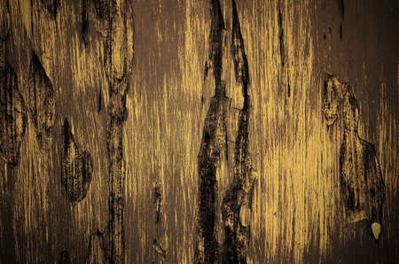 wood textureの写真素材