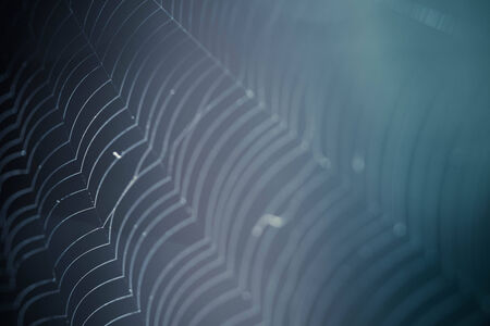 The Spider Web closeup in a darknessの写真素材