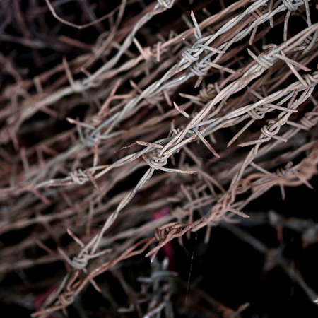 Roll of barbed Wireの写真素材
