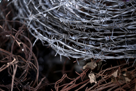 Roll of barbed Wireの写真素材