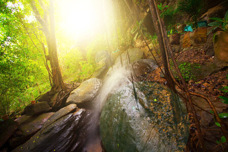 Waterfall in deep forestの写真素材