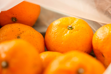 Tangerinesの写真素材