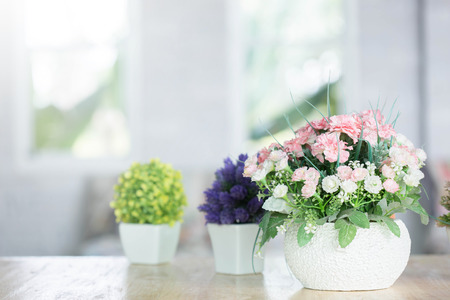 The houseplantの写真素材