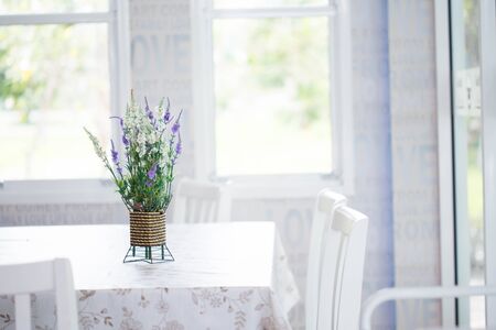 houseplantの写真素材