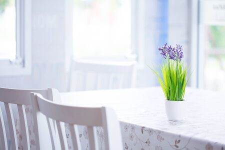 houseplantの写真素材