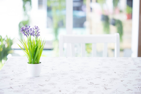 houseplantの写真素材