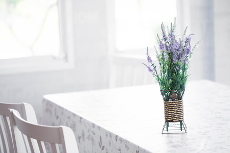 houseplantの写真素材