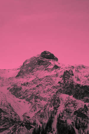 Photo depicting a beautiful colorful moody frosty landscape European alpine mountains with snow peaks on a cloudy sky background. Vintage hipster pink tone filter.の写真素材