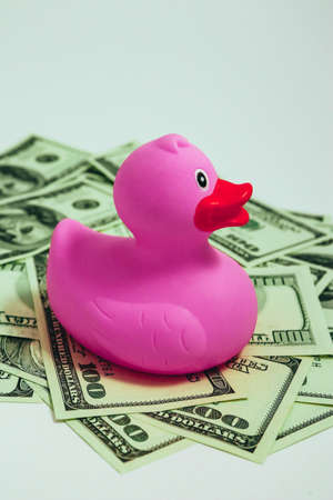 Pink rubber duck is swimming in American dollar, toy business concept. Child expenses, fun.の写真素材