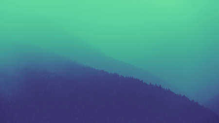 Photo depicting scenic and foggy mystic woods. Foggy Morning in misty mountains, alps landscape with...