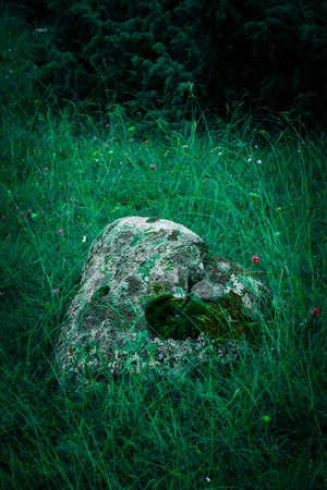 Colorful green mossy big stone. Photo depicting a bright bushy lichen on an old gray stone in the mystic forest.の写真素材