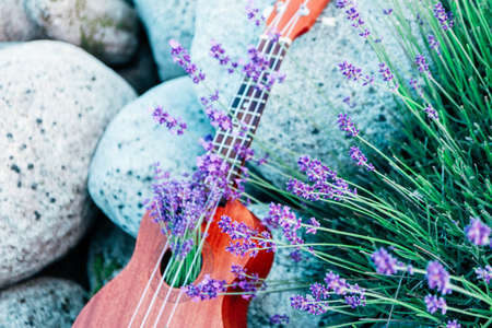 An ukulele guitar on the lavender field, close up. Music and nature concept.の写真素材