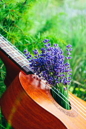 An ukulele guitar on the lavender field, close up. Music and nature concept.の写真素材