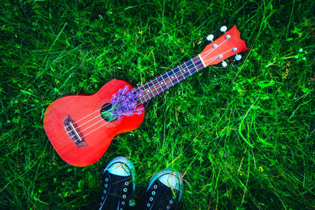 An ukulele guitar on the lavender field, close up. Music and nature concept.