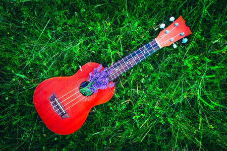 An ukulele guitar on the lavender field, close up. Music and nature concept.の写真素材