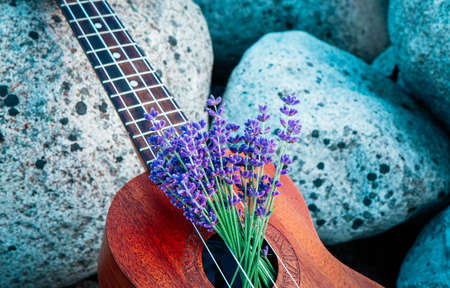 An ukulele guitar on the lavender field, close up. Music and nature concept.の写真素材
