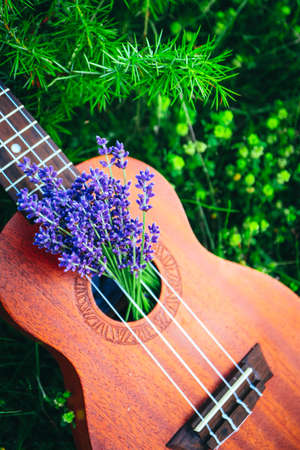 An ukulele guitar on the lavender field, close up. Music and nature concept.の写真素材