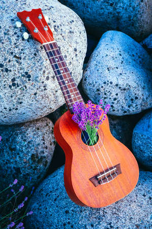 An ukulele guitar on the lavender field, close up. Music and nature concept.の写真素材
