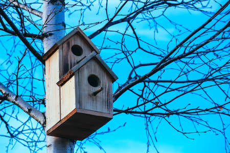 Birdhouse on birch tree, blue sky background. Nesting box on a tree in a park, spring.の写真素材