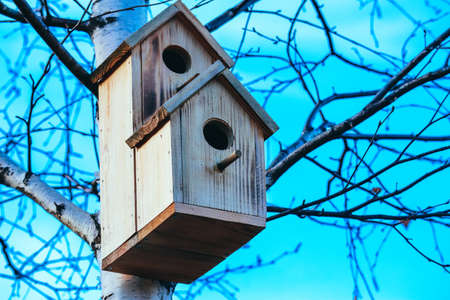Birdhouse on birch tree, blue sky background. Nesting box on a tree in a park, spring.の写真素材