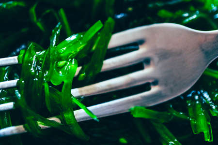 Seaweed salad on a fork, close up. Asian seafood, green chuka helthy meal.の写真素材
