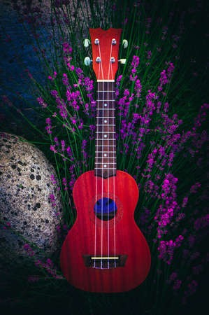 An ukulele guitar on the lavender field, close up. Music and nature concept.の写真素材