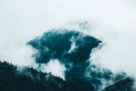 beautiful foggy mystic mountains. Fog clouds at the pine tree mystical woods, morning. Europe, mysterious alpine landscape.の写真素材