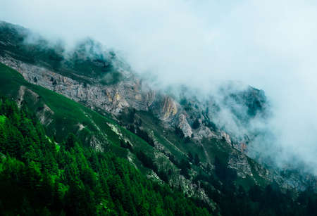 Beautiful foggy mystic mountains. Fog clouds at the pine tree mystical woods, morning. Europe, mysterious alpine landscape.の写真素材
