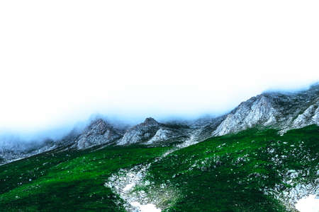 Beautiful foggy mystic mountains. Fog clouds at the pine tree mystical woods, morning. Europe, mysterious alpine landscape.の写真素材