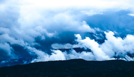 beautiful foggy mystic mountains. Fog clouds at the pine tree mystical woods, morning. Europe, mysterious alpine landscape.の写真素材