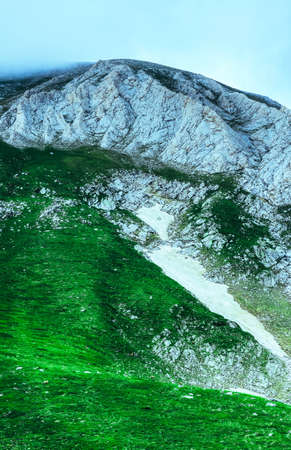 Beautiful foggy mystic mountains. Fog clouds at the pine tree mystical woods, morning. Europe, mysterious alpine landscape.の写真素材