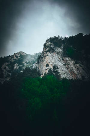 Beautiful foggy mystic mountains. Fog clouds at the pine tree mystical woods, morning. Europe, mysterious alpine landscape.の写真素材