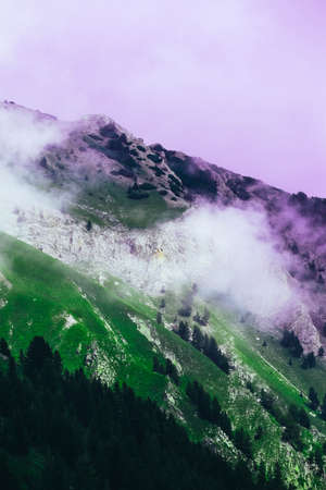 Beautiful foggy mystic mountains. Fog clouds at the pine tree mystical woods, morning. Europe, mysterious alpine landscape.の写真素材