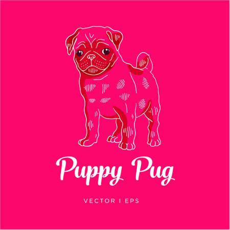 Vector editable colorful image depicting a Pug puppy dog. White outline drawing on a purple background.のイラスト素材