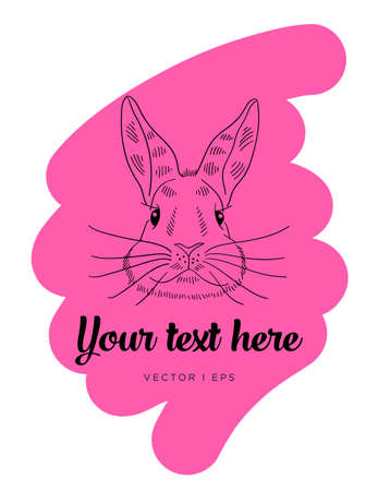 Vector editable colorful image depicting a cute hare on a pink background. Hand drawn sketch of a lovely Easter bunny.のイラスト素材