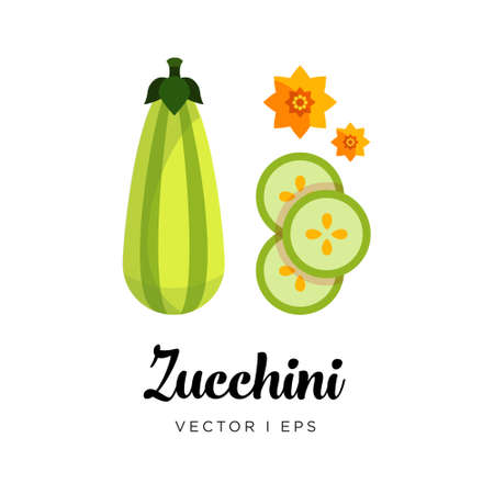 Elegant green fresh striped zucchini  vector editable illustration. Ripe green squash sliced, seeds, flowers, simple flat style.のイラスト素材