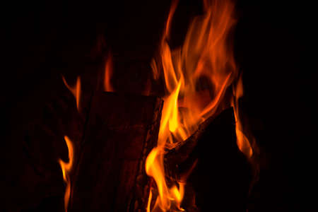 Bright colorful flame, burning wood at the fireplace. Firewood brick at the fire, closeup.