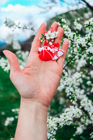 Bulgarian traditional spring decor martenitsa, hold in hand, blossom tree background. Baba Marta holiday.の写真素材
