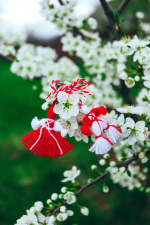 Bulgarian traditional spring decor martenitsa on the blossom tree background. Baba Marta holiday.の写真素材