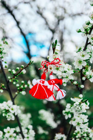 Bulgarian traditional spring decor martenitsa on the blossom tree background. Baba Marta holiday.の写真素材