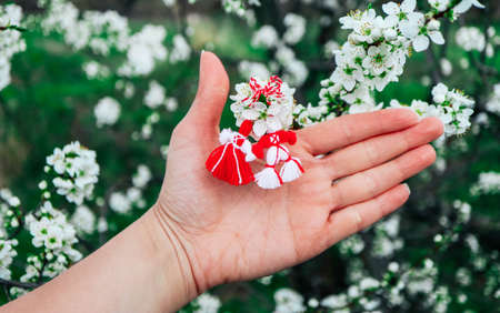 Bulgarian traditional spring decor martenitsa, hold in hand, blossom tree background. Baba Marta holiday.の写真素材
