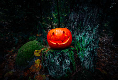 Scary Halloween lantern, made of pumpkin at the dark forest. Spooky Halloween outdoor backdrop.
