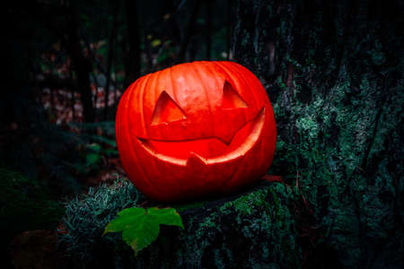 Scary Halloween lantern, made of pumpkin at the dark forest. Spooky Halloween outdoor backdrop.の写真素材