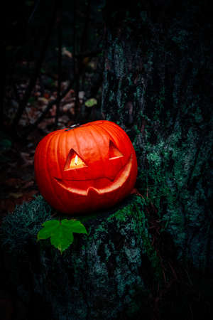 Scary Halloween lantern, made of pumpkin at the dark forest. Spooky Halloween outdoor backdrop.の写真素材