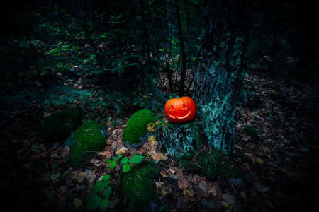 Scary Halloween lantern, made of pumpkin at the dark forest. Spooky Halloween outdoor backdrop.の写真素材