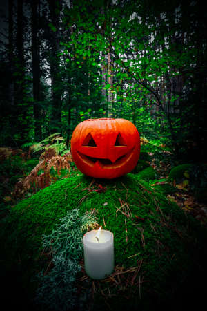 Scary Halloween lantern, made of pumpkin at the dark forest. Spooky Halloween outdoor backdrop.の写真素材