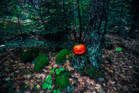 Scary Halloween lantern, made of pumpkin at the dark forest. Spooky Halloween outdoor backdrop.の写真素材