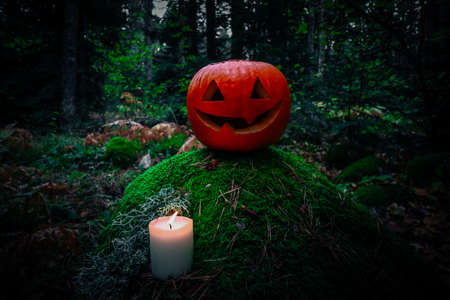 Scary Halloween lantern, made of pumpkin at the dark forest. Spooky Halloween outdoor backdrop.の写真素材